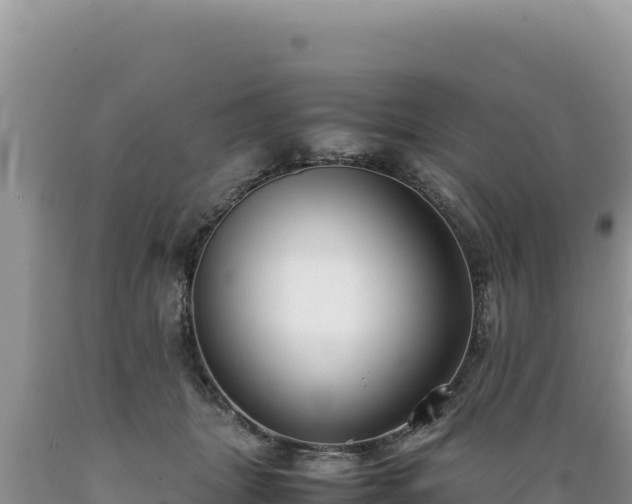 X0000089360463200706221204