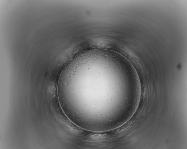 X0000089360465200706221204