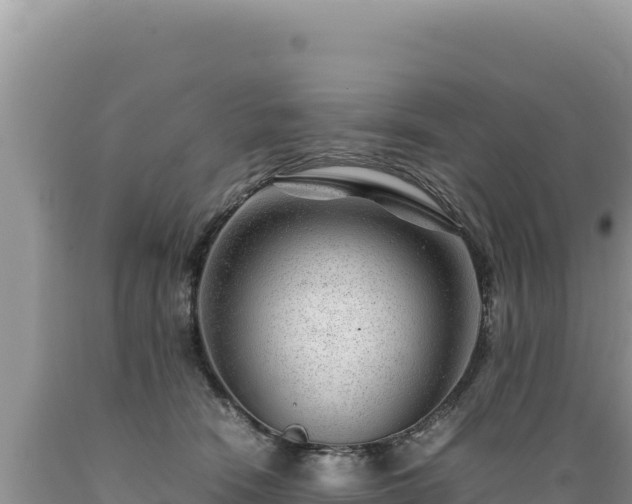 X0000089360466200706221204