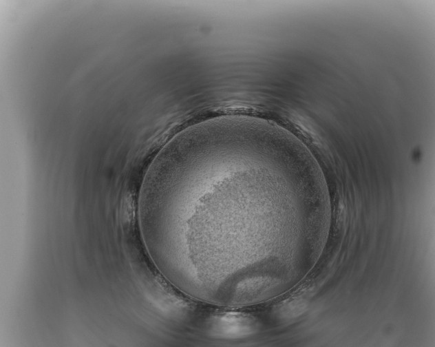 X0000089360467200706221204