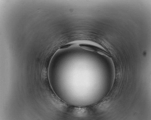X0000089360469200706221204