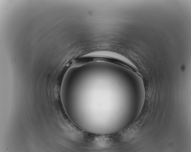 X0000089360470200706221204