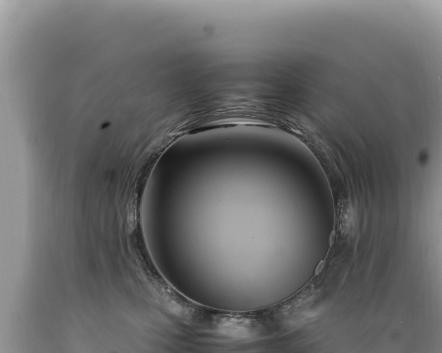 X0000089360471200706221204