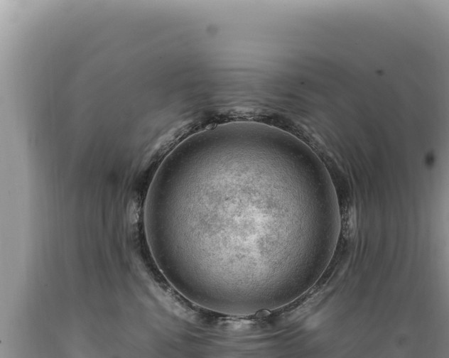 X0000089360472200706221204