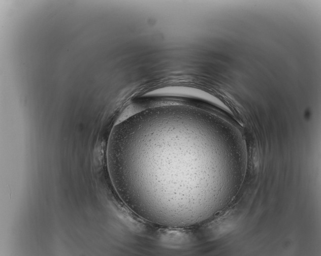 X0000089360475200706221204