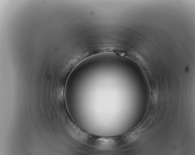 X0000089360477200706221204