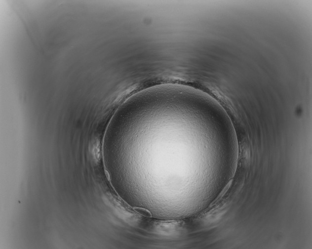 X0000089360479200706221204