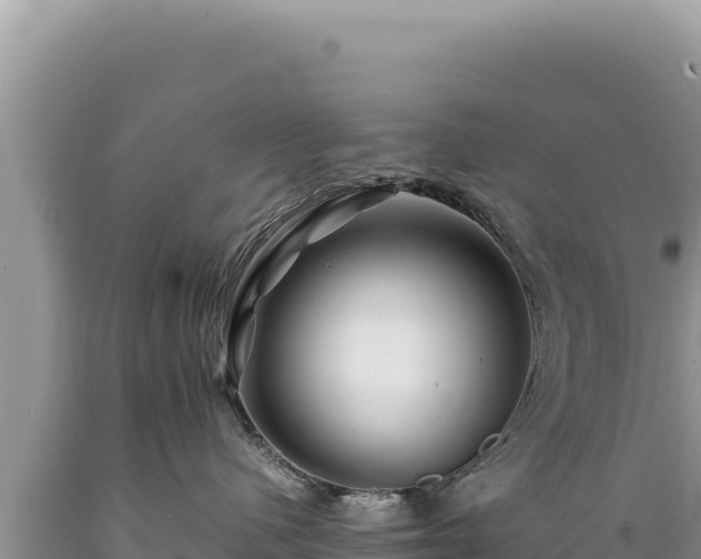X0000089360480200706221204