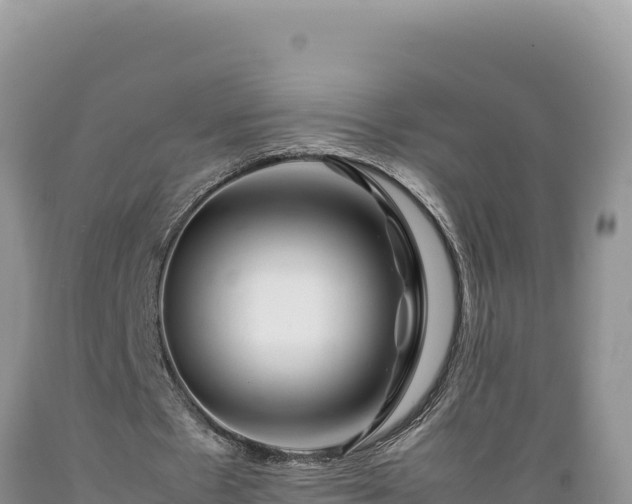 X0000089360481200706221203