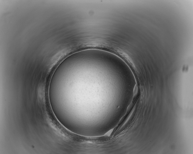 X0000089360482200706221203