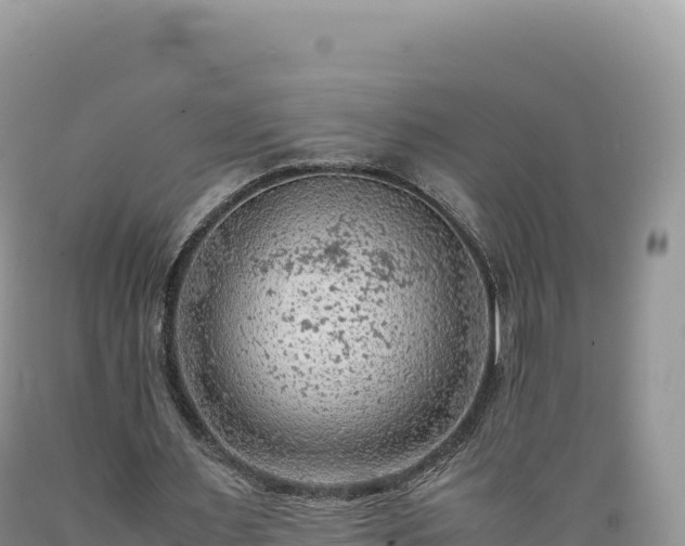 X0000089360483200706221203