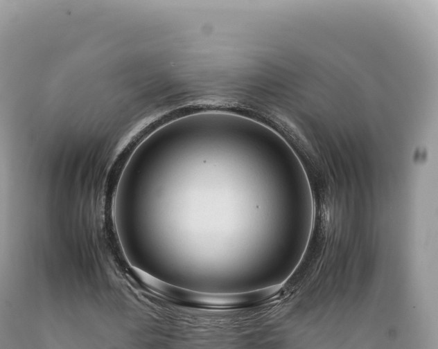 X0000089360484200706221203
