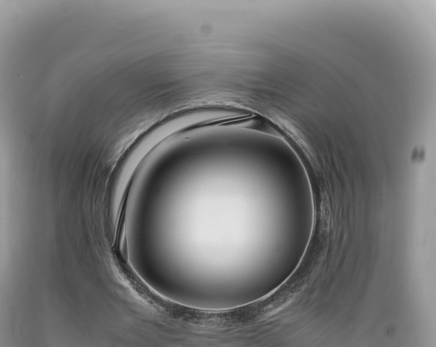 X0000089360485200706221203