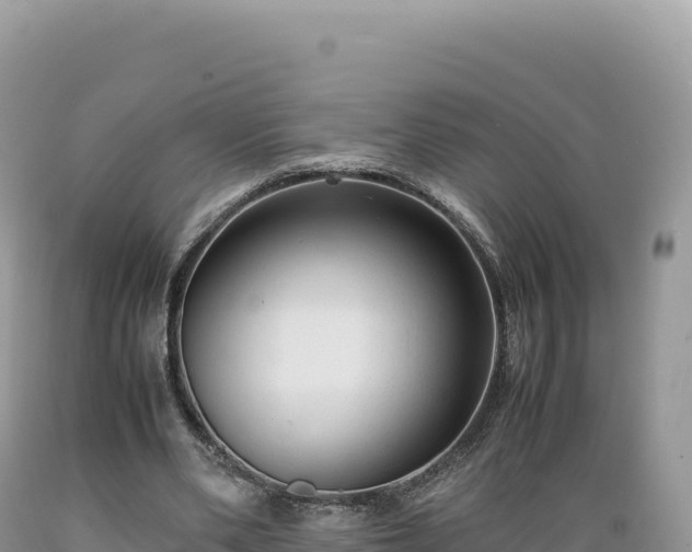 X0000089360486200706221203