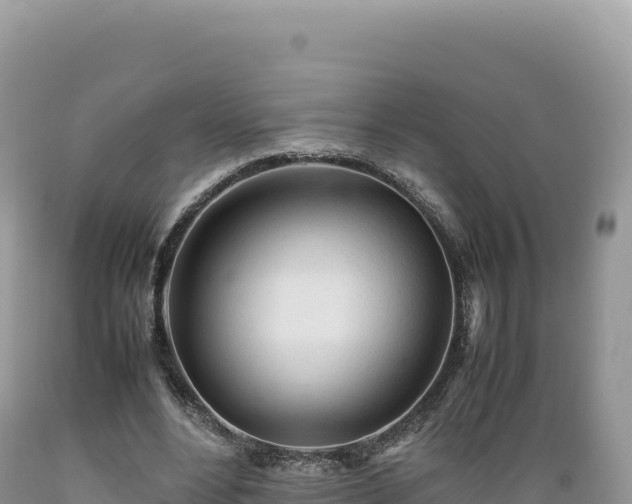 X0000089360488200706221203