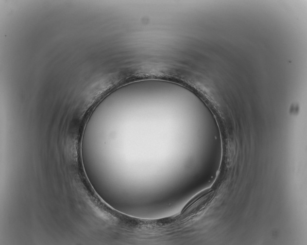 X0000089360489200706221203