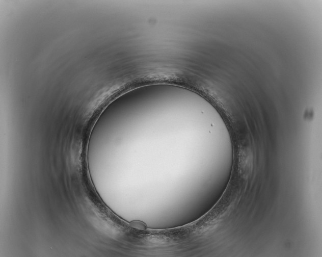 X0000089360490200706221203