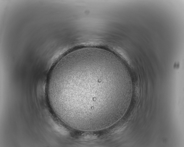 X0000089360491200706221203