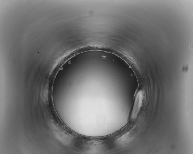 X0000089360492200706221203