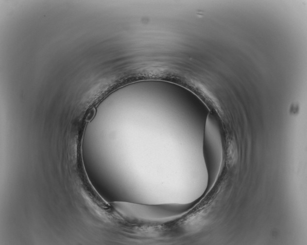 X0000089360493200706221203