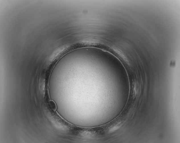 X0000089360494200706221203