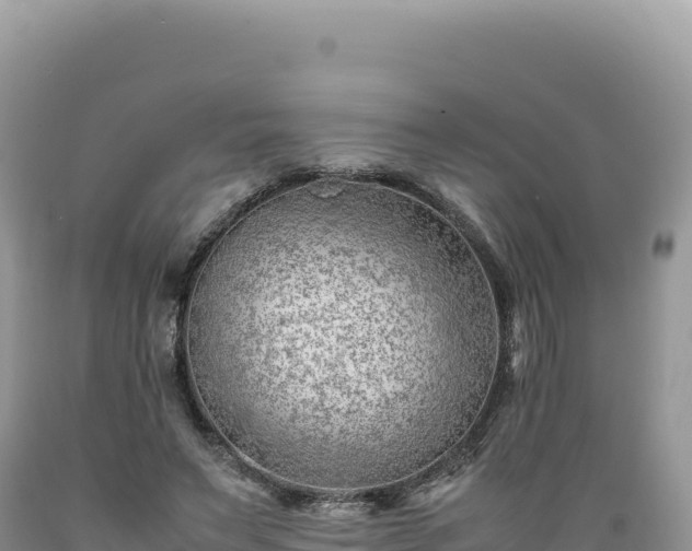 X0000089360495200706221203