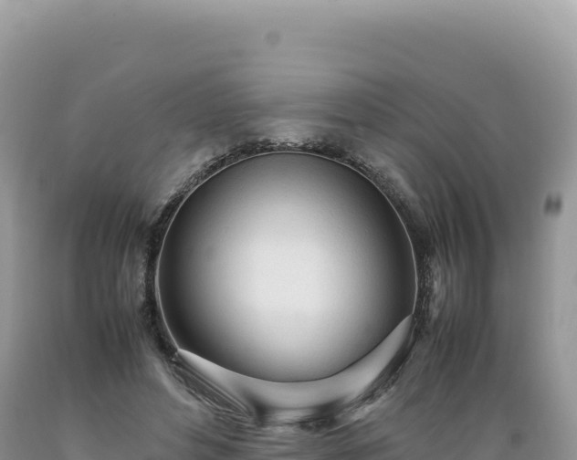 X0000089360496200706221203