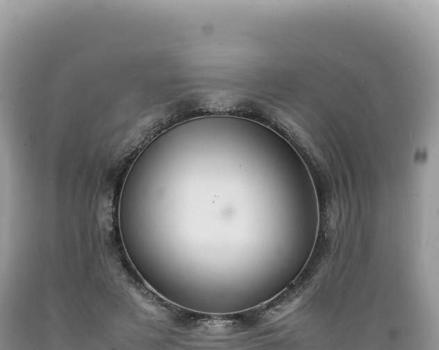 X0000089360497200706221203