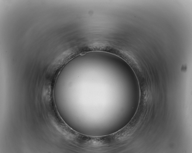 X0000089360498200706221203
