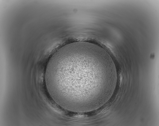 X0000089360499200706221203
