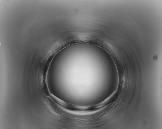 X0000089360500200706221203