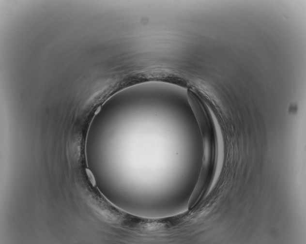 X0000089360501200706221203
