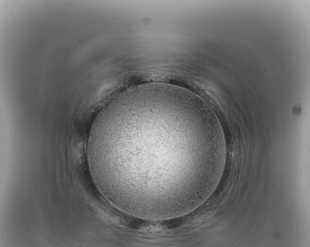 X0000089360503200706221203