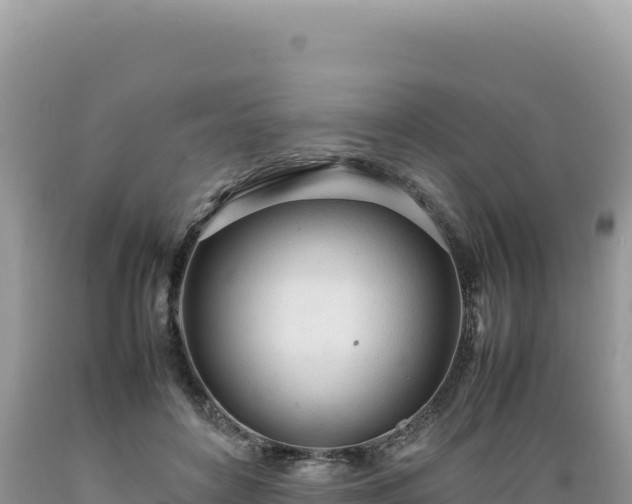 X0000089360504200706221203