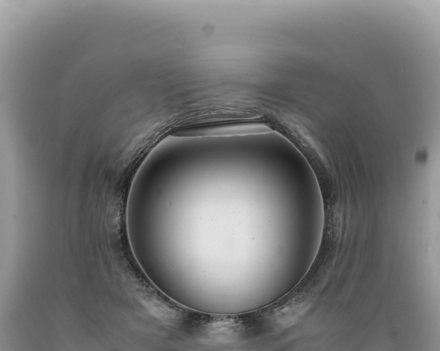 X0000089360505200706221203