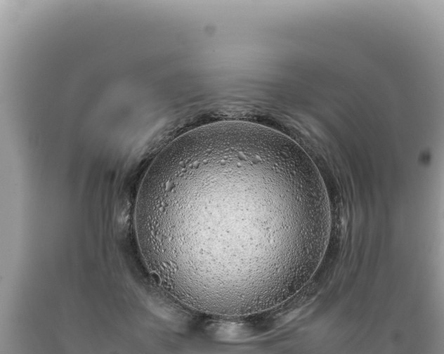 X0000089360507200706221203