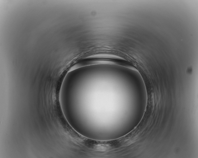 X0000089360508200706221203