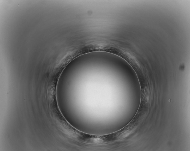 X0000089360509200706221203