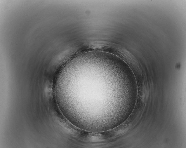X0000089360510200706221203