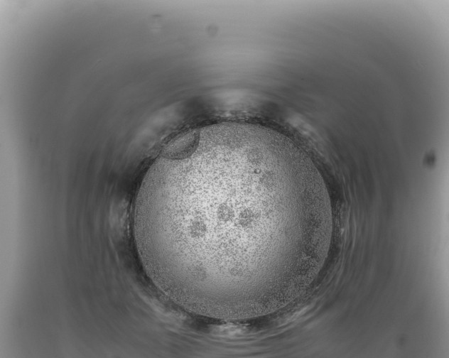 X0000089360511200706221203