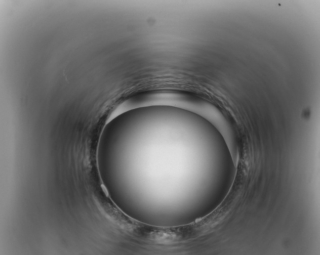 X0000089360512200706221203