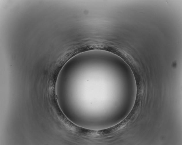 X0000089360513200706221203