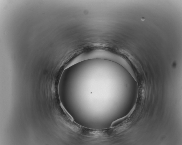 X0000089360516200706221203