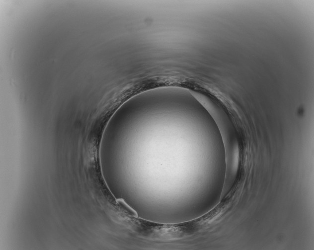X0000089360517200706221203