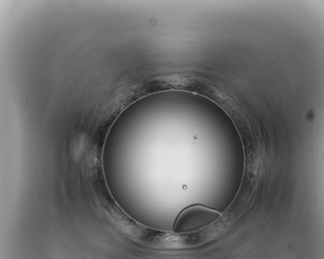 X0000089360518200706221203