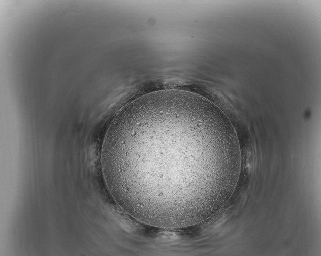 X0000089360519200706221203