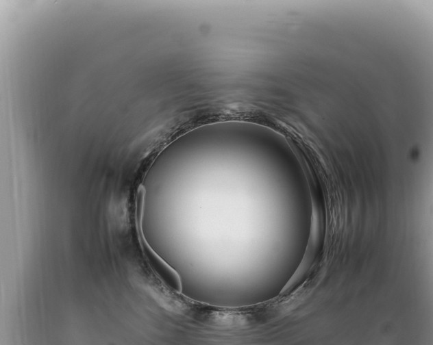 X0000089360520200706221203