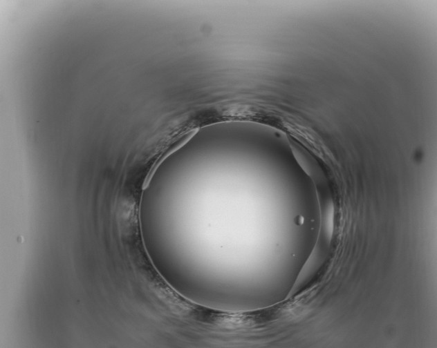 X0000089360521200706221203