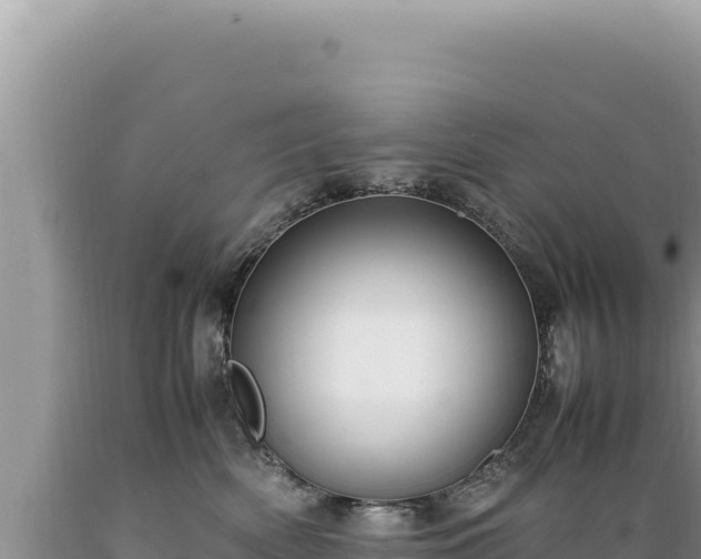 X0000089360522200706221203