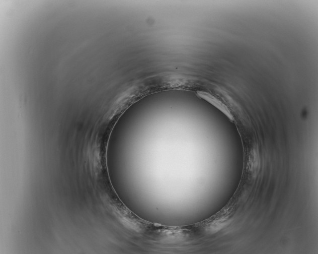X0000089360524200706221203